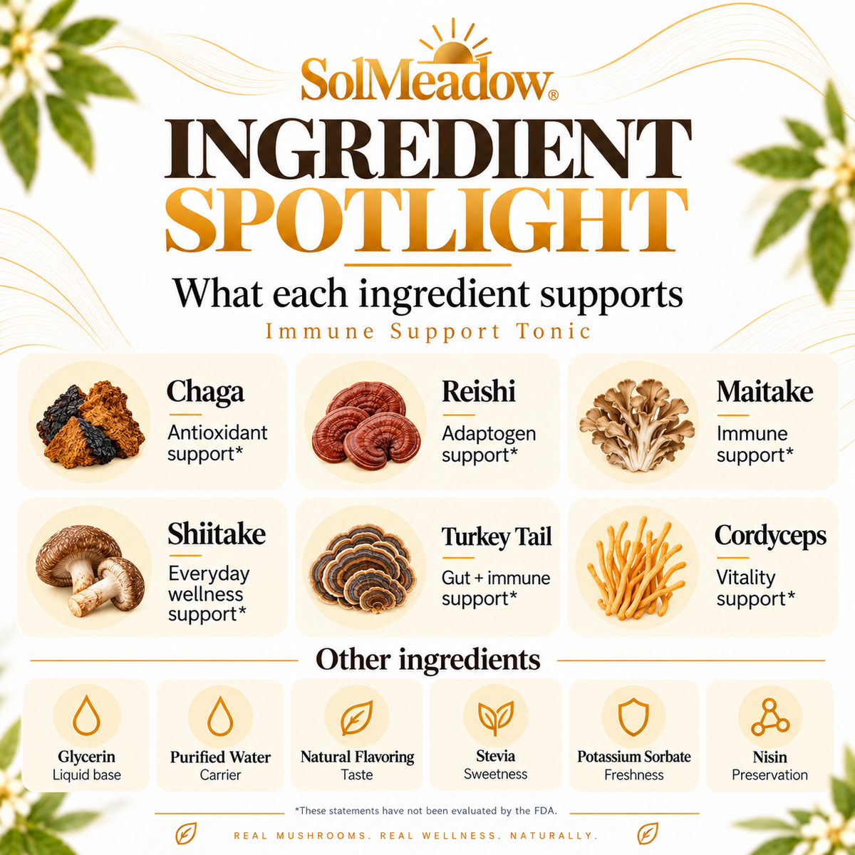 Immune support tonic